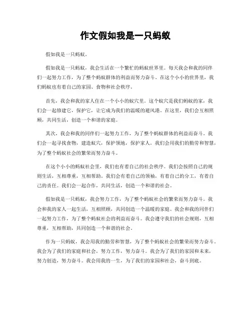 作文假如我是一只蚂蚁