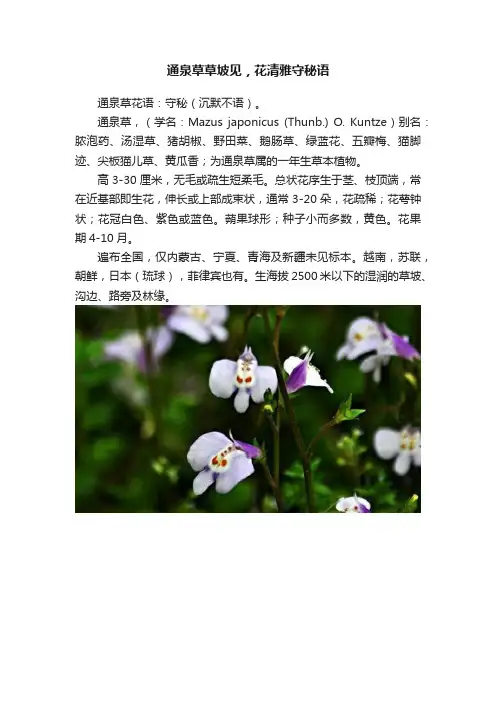 通泉草草坡见，花清雅守秘语