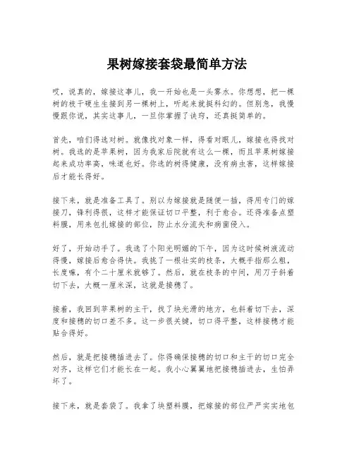 果树嫁接套袋最简单方法