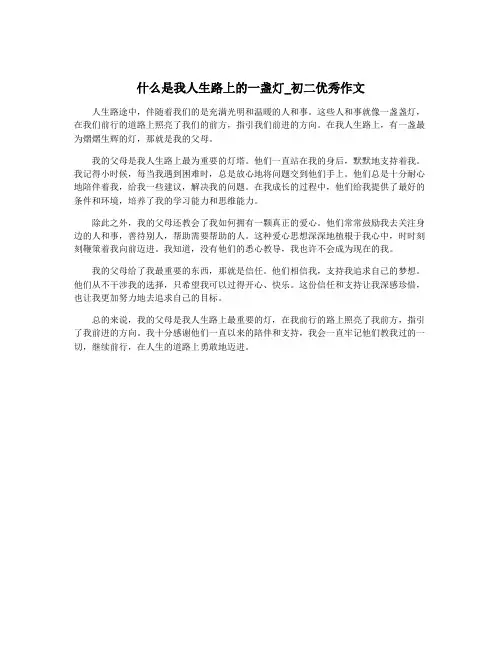 什么是我人生路上的一盏灯_初二优秀作文