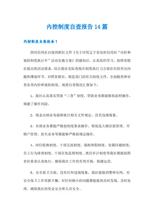 内控制度自查报告14篇