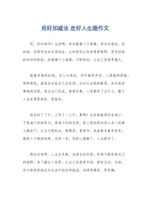 用好加减法 走好人生路作文
