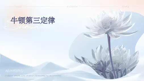 牛顿第三定律PPT