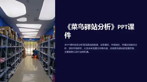 《菜鸟驿站分析》课件