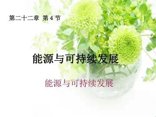 九年级人教版物理全册22.4《能源和可持续发展》一等奖优秀课件