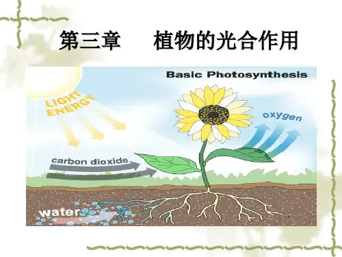 第三章  植物的光合作用-光反应1
