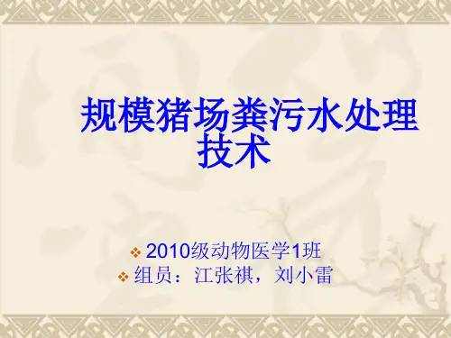 猪场清粪工艺