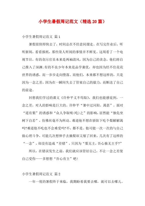 小学生暑假周记范文(精选20篇)