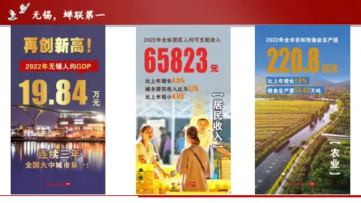 2023届高考地理二轮专题复习 课件 乡村振兴