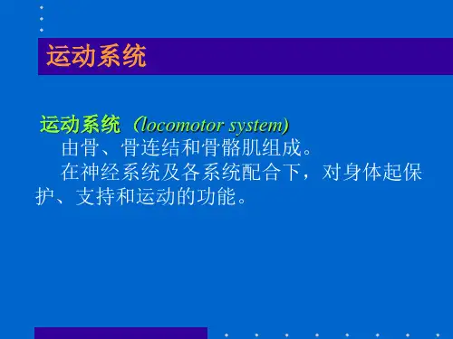 2-骨学总论