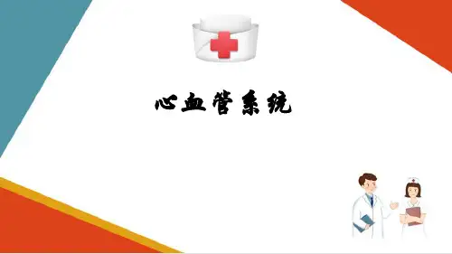 心血管系统概述、心脏(人体解剖学课件)