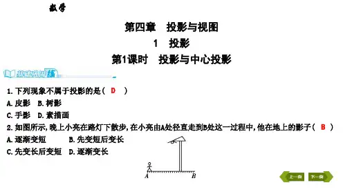 第四章1第1课时投影与中心投影课堂练习题含2021中考题