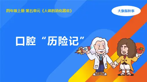 5.2口腔“历险记”(课件) (共17张PPT)大象版四年级科学上册