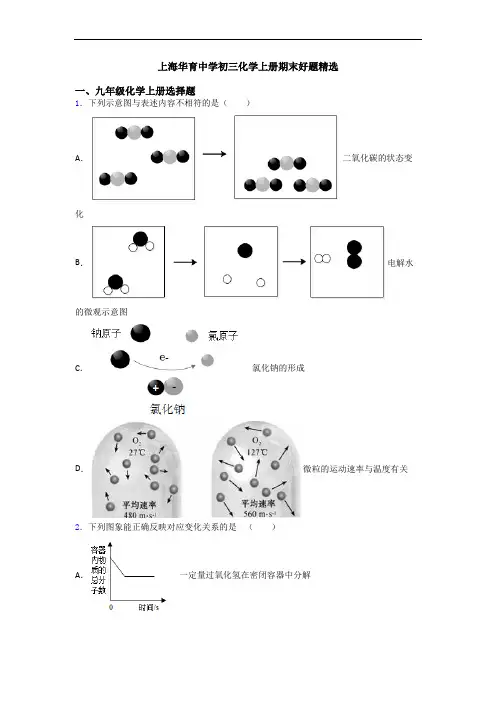 上海华育中学初三化学初三化学上册期末好题精选
