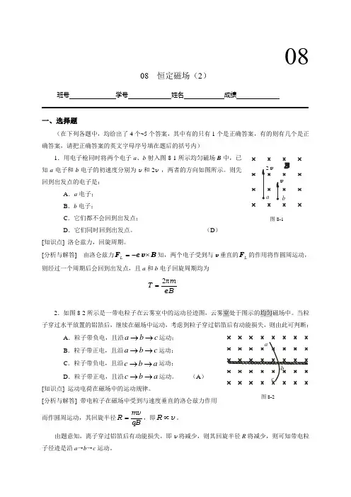 工科物理大作业08-恒定磁场(2)