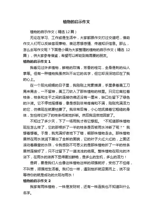 植物的启示作文（精选12篇）