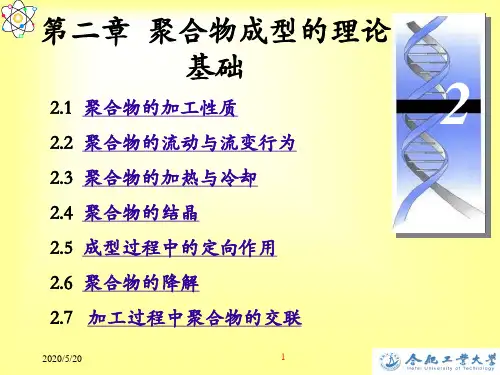 聚合物成型加工原理 第二章