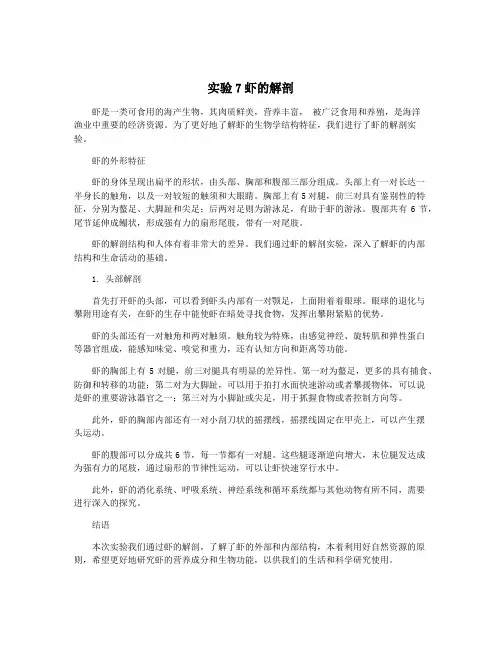 实验7虾的解剖
