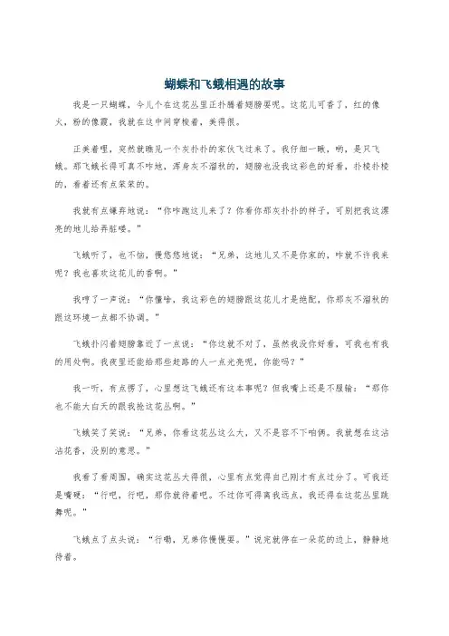蝴蝶和飞蛾相遇的故事