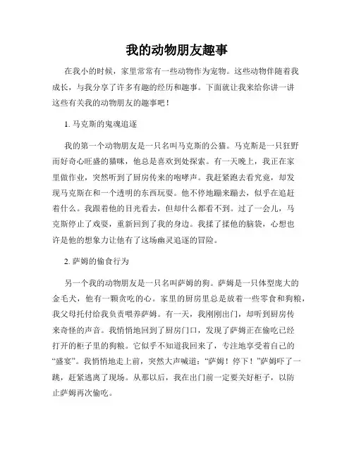 我的动物朋友趣事