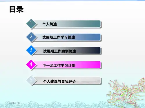 新员工转正答辩PPT
