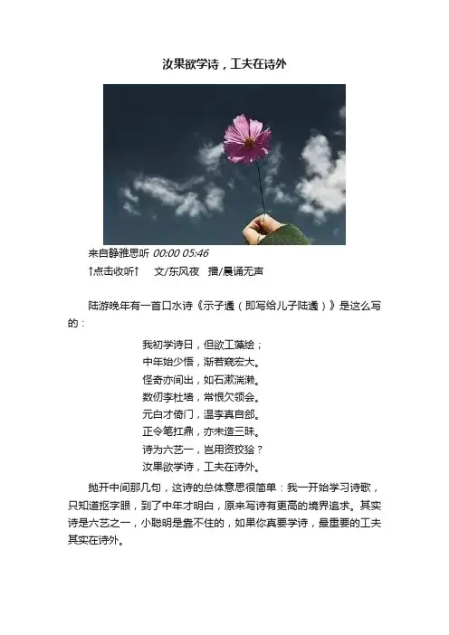 汝果欲学诗，工夫在诗外