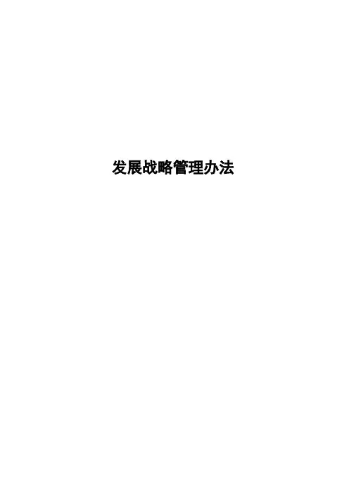 发展战略管理办法