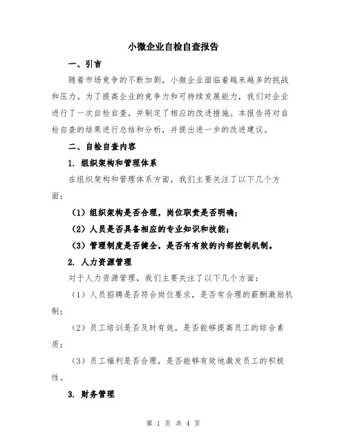 小微企业自检自查报告