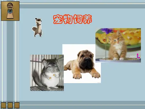犬的解剖、生理特点等