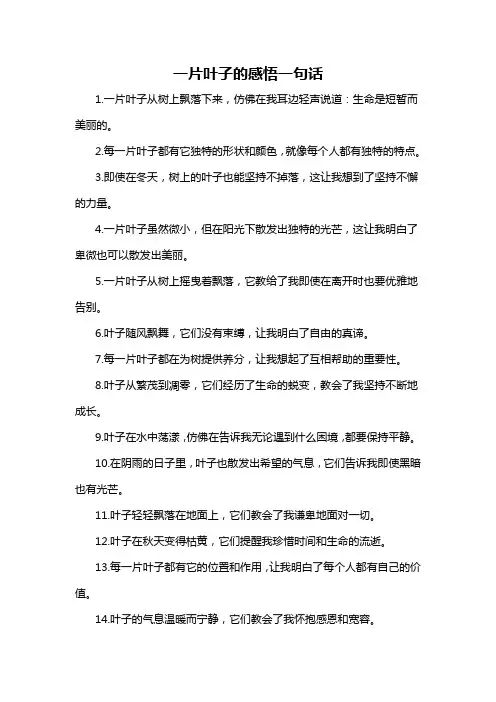 一片叶子的感悟一句话