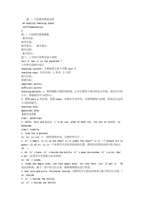 片段教学教案范例