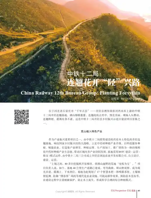 219526249_中铁十二局：连翘花开“陉”兴路