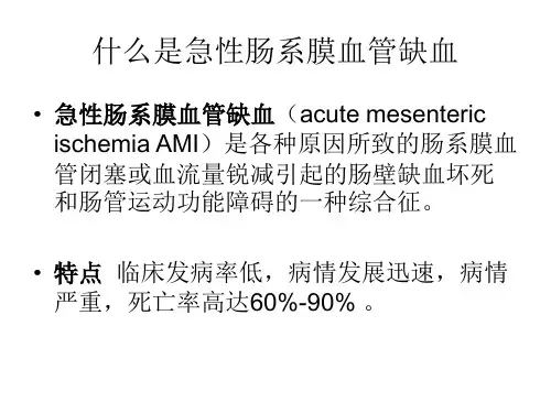 急性肠系膜血管缺血性疾病的诊断