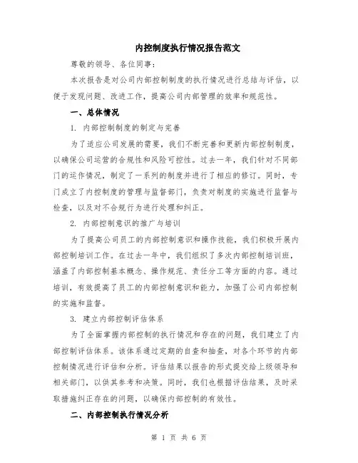 内控制度执行情况报告范文（二篇）