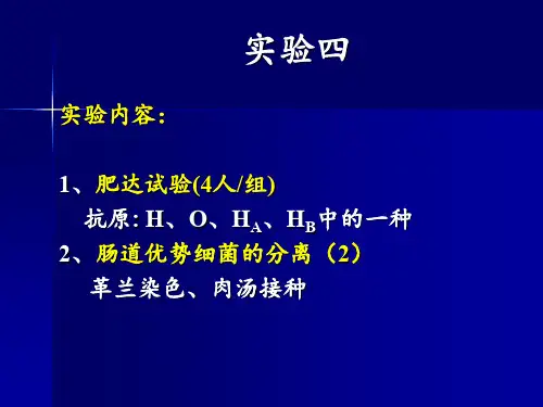 医学微生物学实验：实验四_粪便标本2___肥达试验