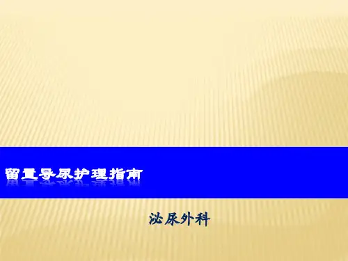 留置导尿护理指南 (1)