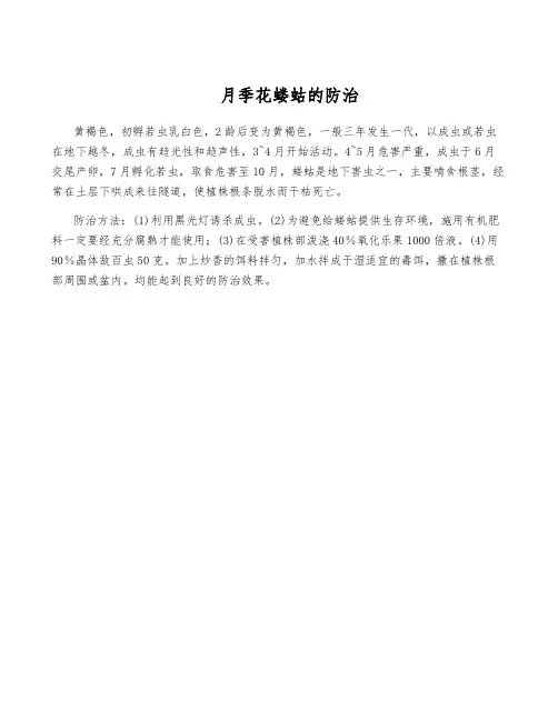 月季花蝼蛄的防治