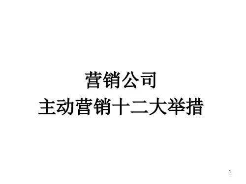 十二大营销举措
