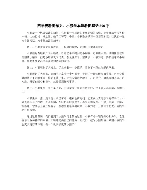 四年级看图作文：小猴学本领看图写话800字