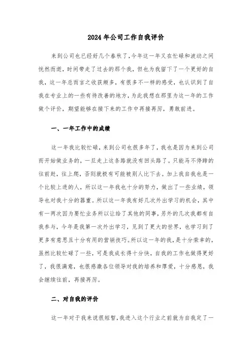2024年公司工作自我评价（3篇）