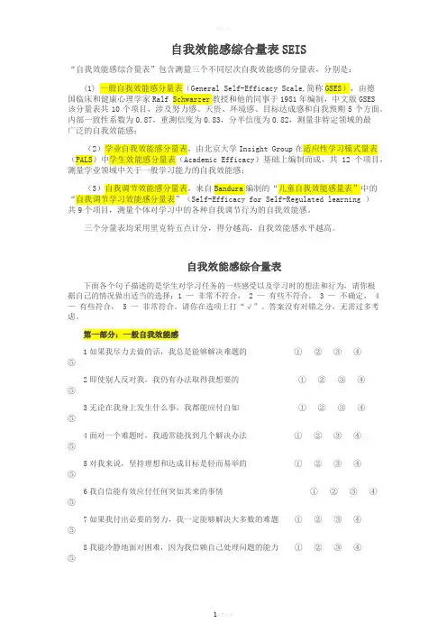 自我效能感综合量表SEIS