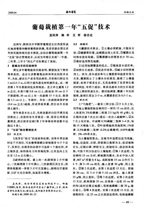 葡萄栽植第一年“五促”技术