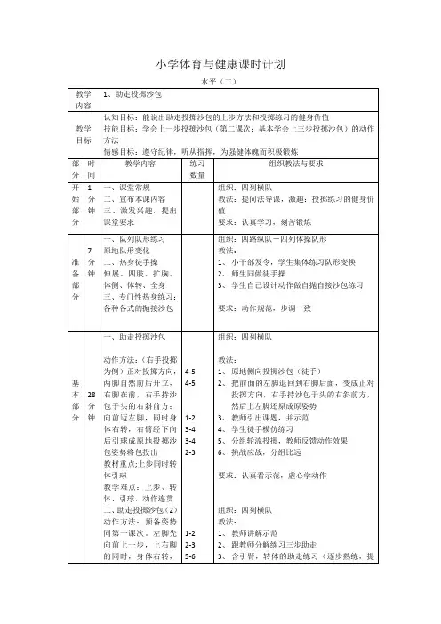 小学体育《投掷》水平二 第三课时教案