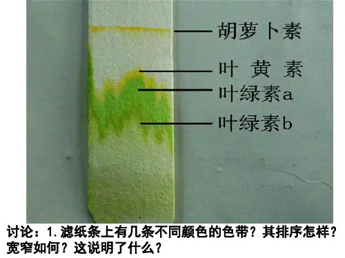 浙科版生物必修一高一光合作用(共37张PPT)