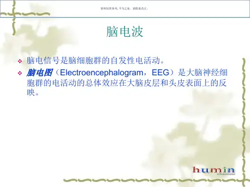 测试信号分析和处置小波变换和脑电波