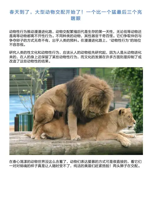 春天到了,大型动物交配开始了!一个比一个猛最后三个亮瞎眼