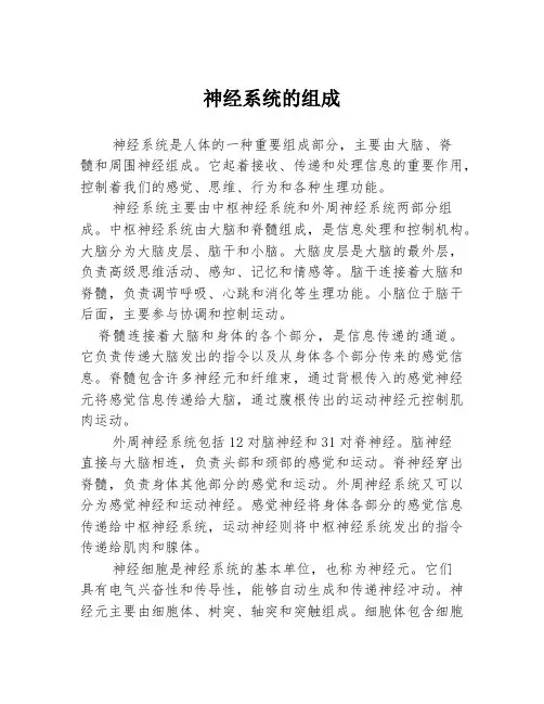 神经系统的组成