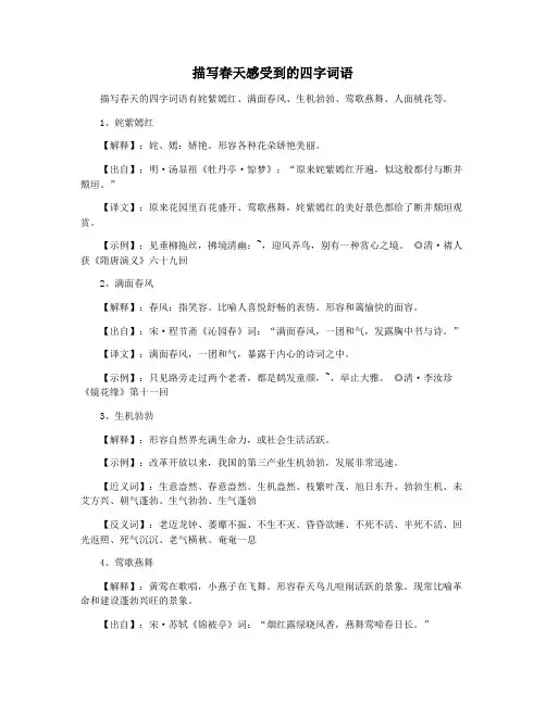 描写春天感受到的四字词语