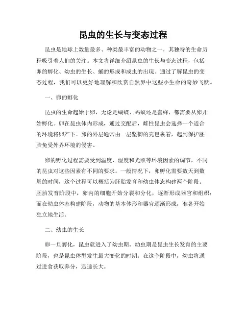 昆虫的生长与变态过程
