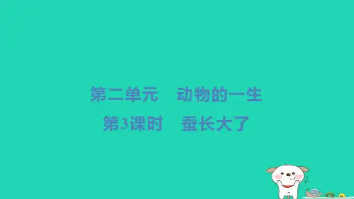 三年级科学下册第二单元动物的一生第3课时蚕长大了小册习题教科版